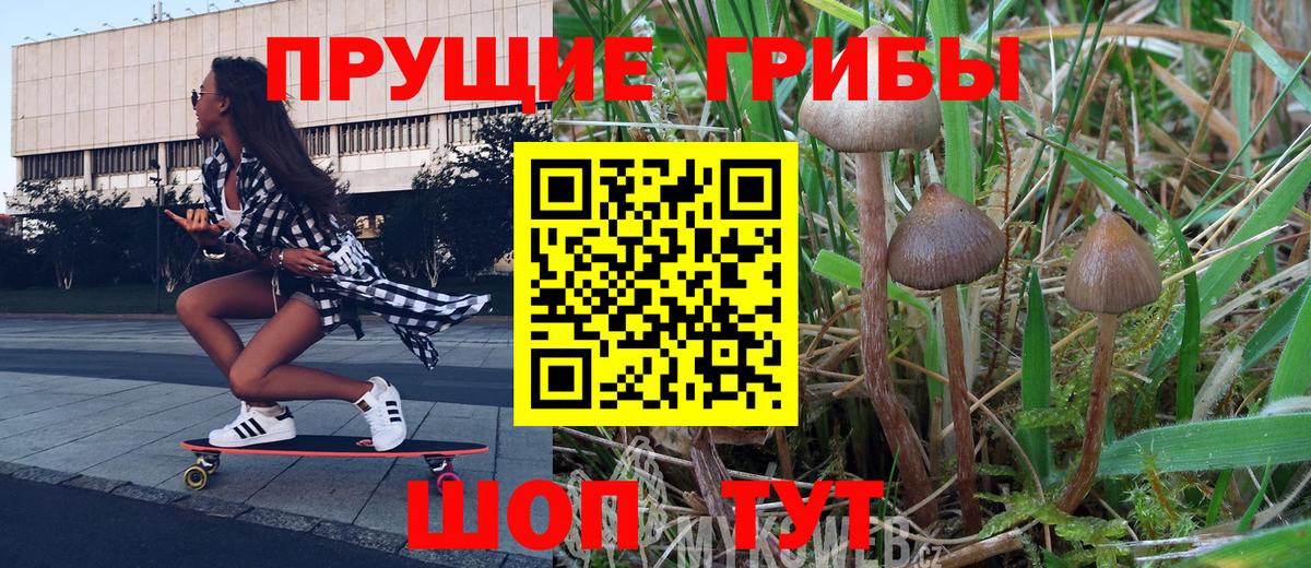 Псилоцибиновые грибы GOLDEN TEACHER  Вход с VPN  Сунжа 